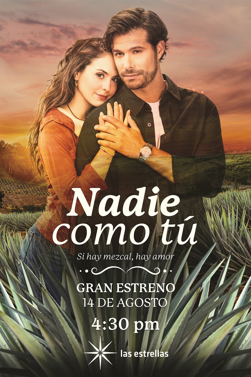 Televisión: NADIE COMO&nbsp;TÚ