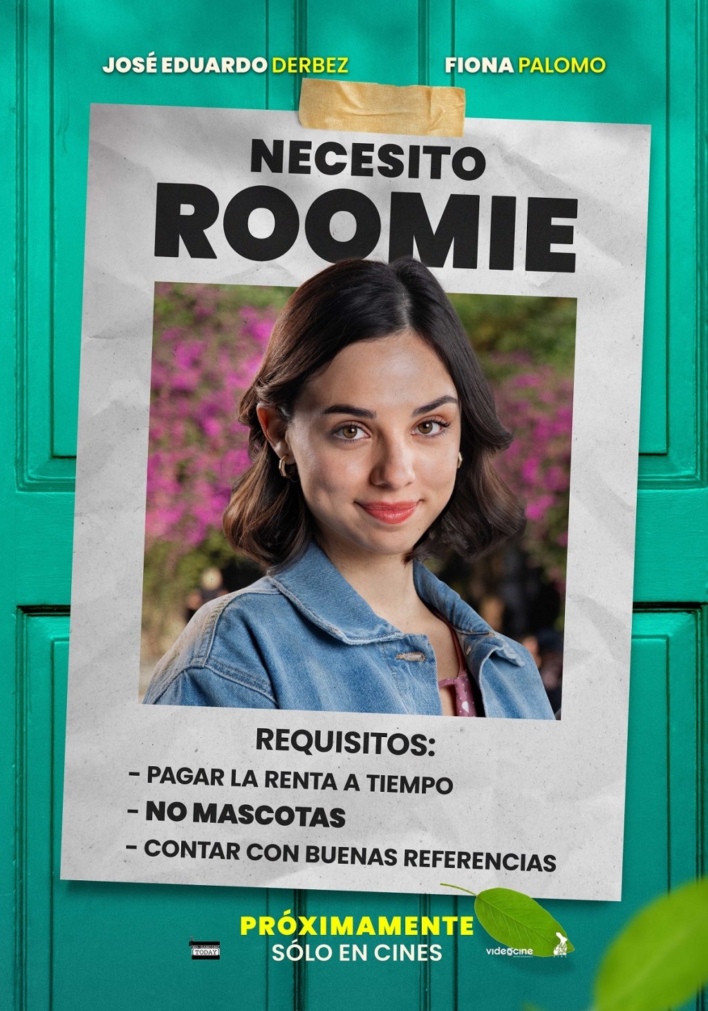 Cine: EL ROOMIE