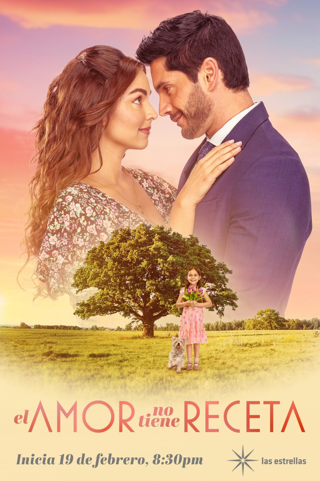 Televisión: EL AMOR NO TIENE&nbsp;RECETA