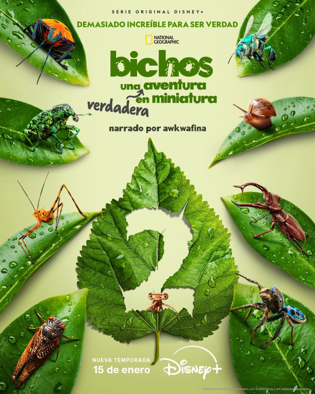 Noticias: BICHOS: UNA VERDADERA AVENTURA EN MINIATURA, LA SERIE ORIGINAL DISNEY+ DE NATIONAL GEOGRAPHIC, ESTRENA SU SEGUNDA TEMPORADA EL 15 DE&nbsp;ENERO