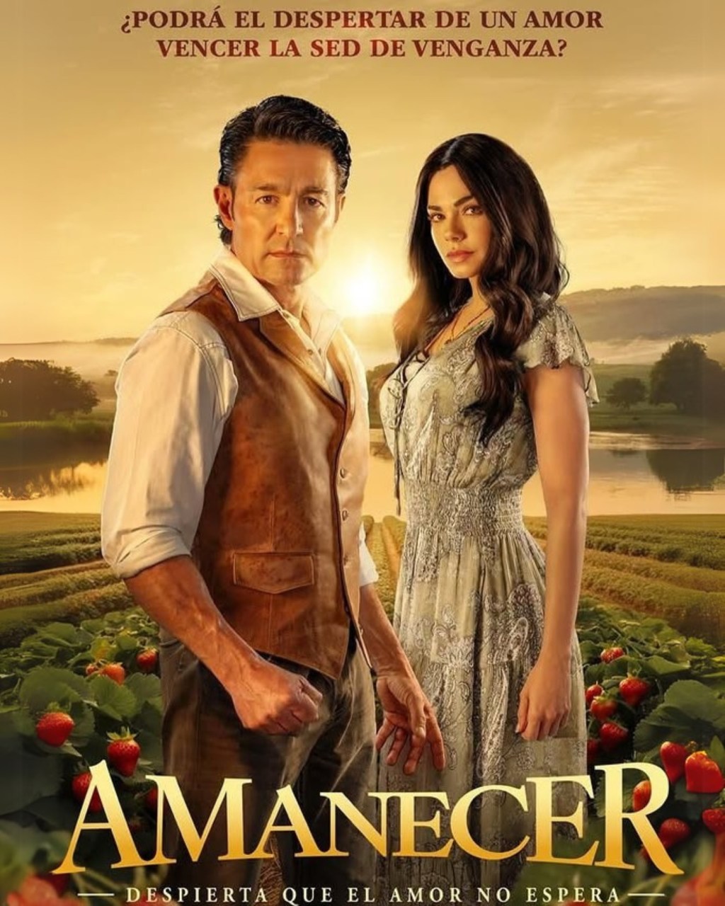 Televisión: AMANECER