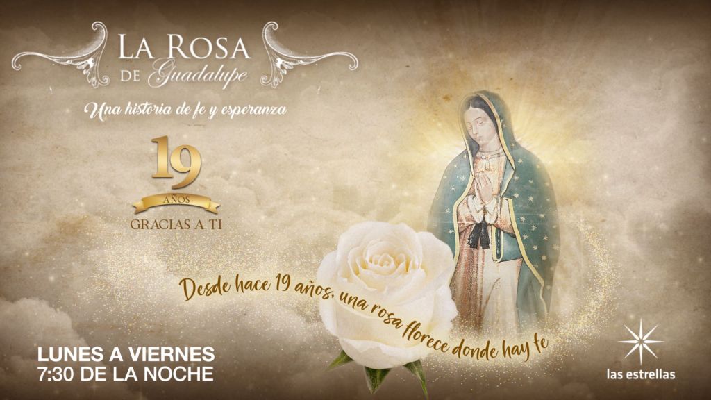 Televisión: LA ROSA DE GUADALUPE CUMPLE 19 AÑOS DE&nbsp;TRANSMISIONES